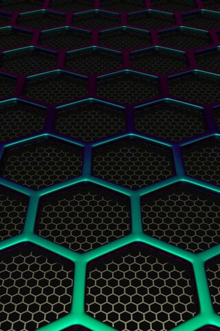 Hex Mesh