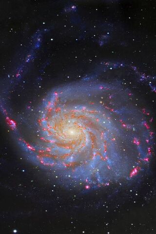 Whirling Wonders: The Pinwheel Galaxy 🌌✨