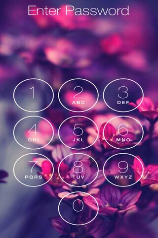 Password, haha, passwords, screen, HD wallpaper | Peakpx