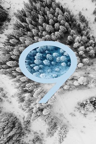 Galaxy S9: Nature's Winter Wonderland 🌌❄️