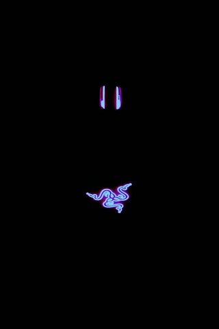 Illuminate Your Game: The Razer Life