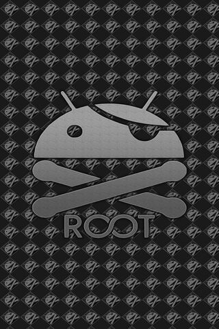 Unlocking the Power: Root User