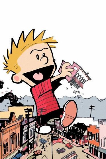 Calvin And Hobbes Kingkong