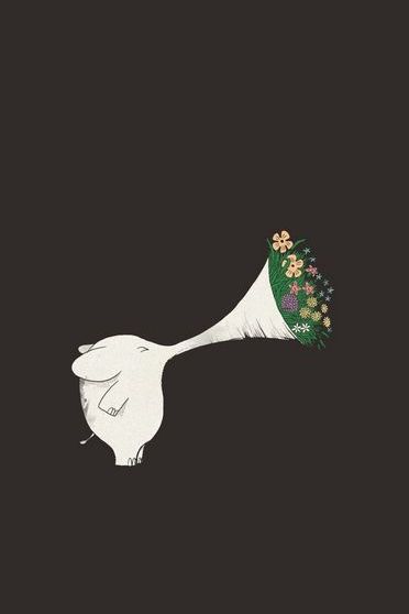 Elephant Wallpaper - Download to your mobile from PHONEKY
