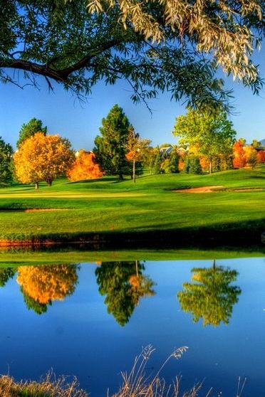 Beautiful Reflects