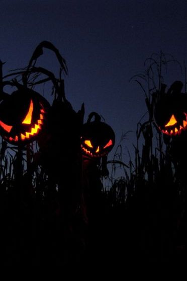 Scary Pumpkins