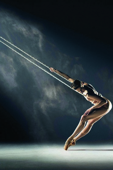 Meredith Webster Gymnast