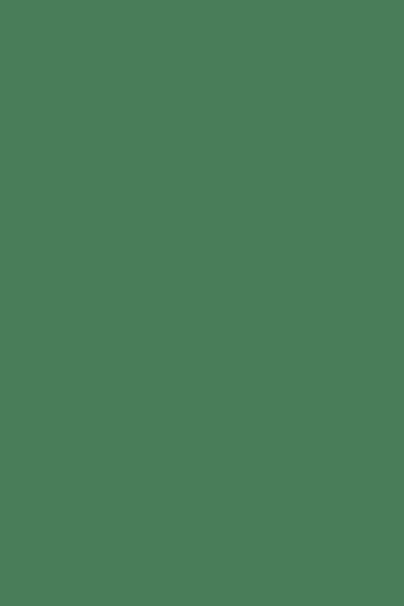 Plain Green