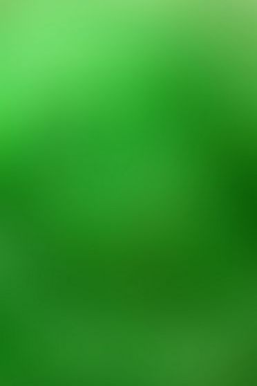 Màu xanh lá cây đậm Ảnh nền - Tải xuống điện thoại di động của bạn từ  PHONEKY