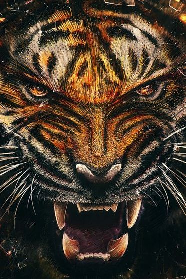 Tiger Wallpaper - Download to your mobile from PHONEKY