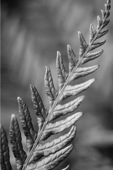 HTC One 2014 Official