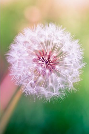 HTC One 2014 Official