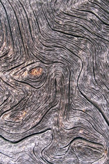 Wood Skin
