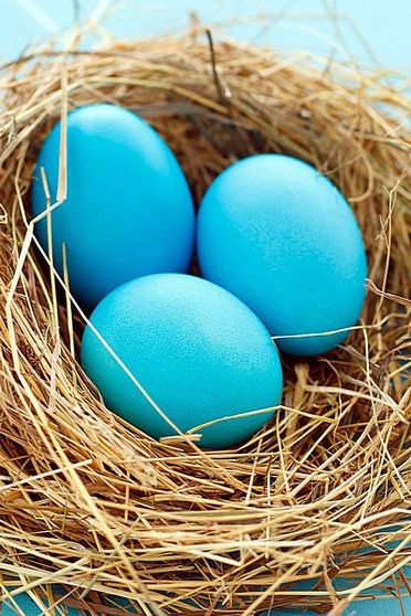 Telur Blue Easter