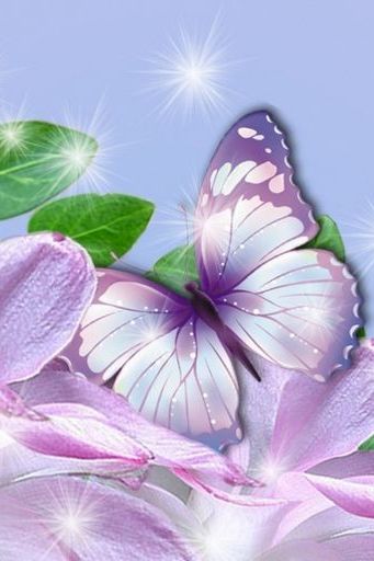 Essence Of Lavender Butterflies