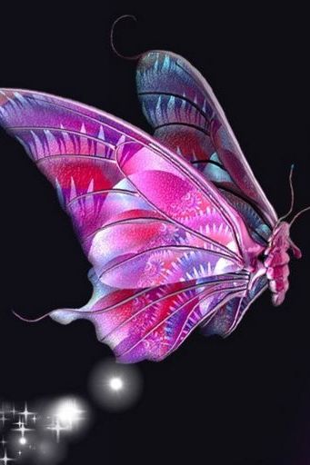 Orchids Pink Bright Pink Butterfly