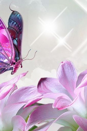 Devine Butterfly