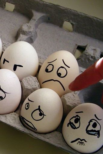 Eggs Humor