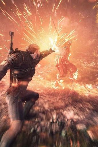 The Witcher 3 Wild Hunt Game