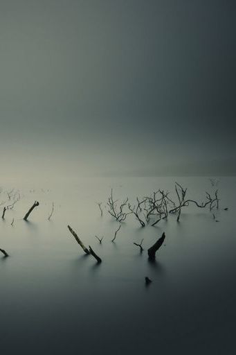 Calm Overcast