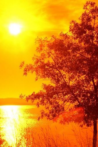 Bigger Sunset