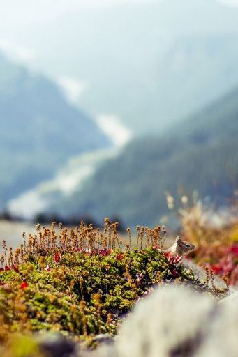 Mountains Landscapes Nature