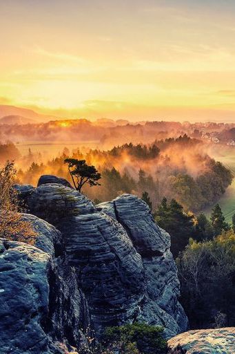 Sunset Landscapes Trees