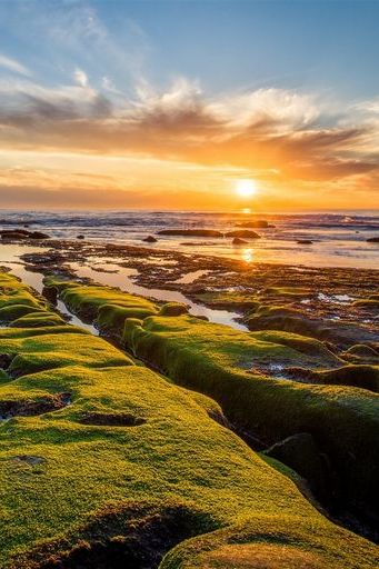 Rochas verdes do Oceano Pacífico