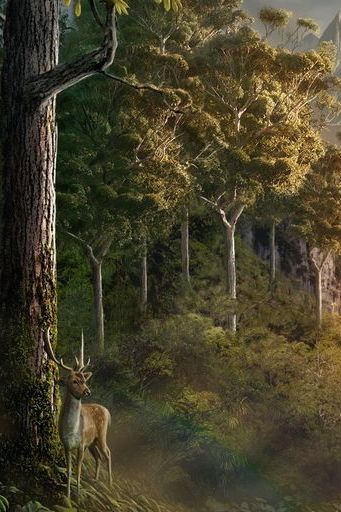 Sven Sauer