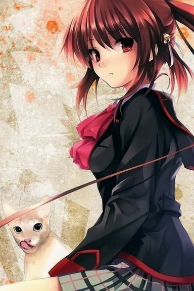 Anime Girl & Cats