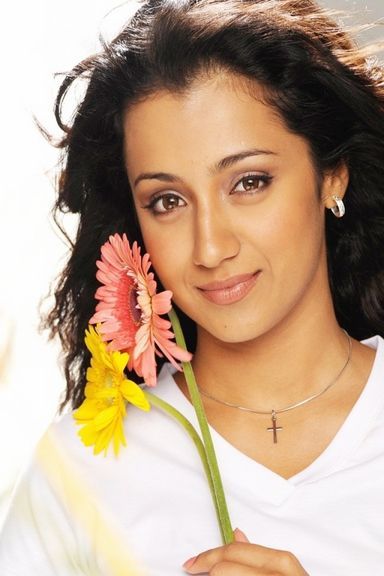 Trisha Krishnan Wallpaper #6823379