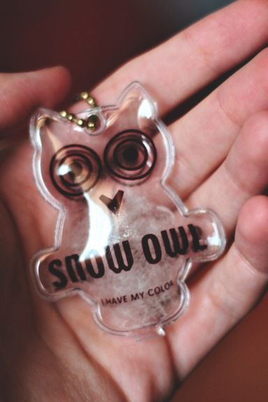 Owl Key Chain