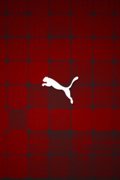 Puma Wallpaper - Download to your mobile from PHONEKY