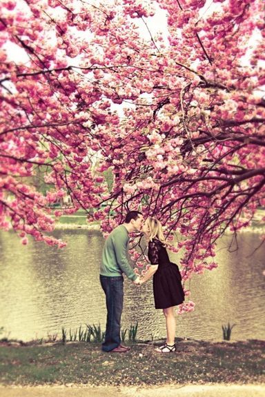 Spring Love Has Come