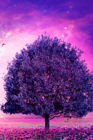 Rüya ağacı