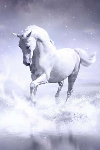 Kuda putih