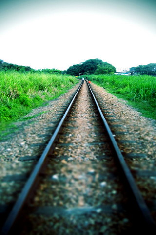 Journey on the Tracks 🚂✨
