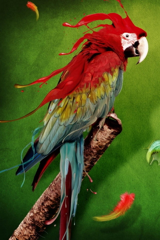 Kühler Papagei