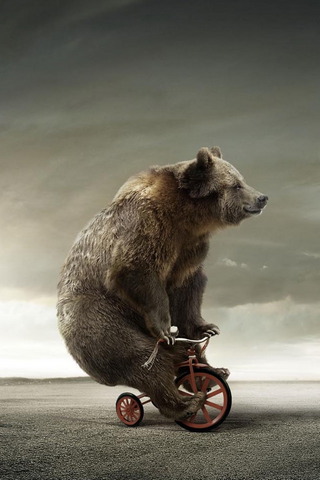 Bear Cycle