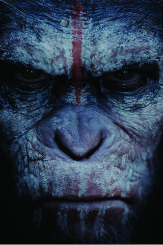 Dawn Of The Planet Of The Apes 2014 Movie