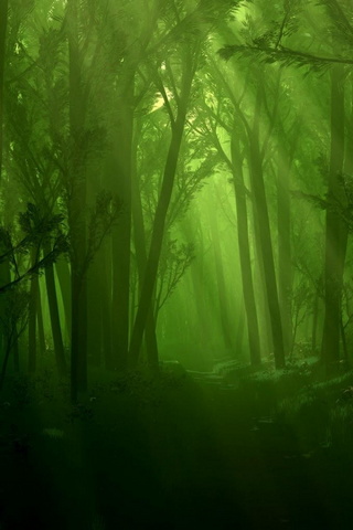 녹색 숲