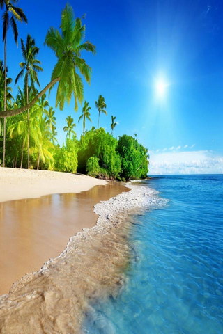 Tropical Bliss at Sunshine Beach Coast 🌞🏖️