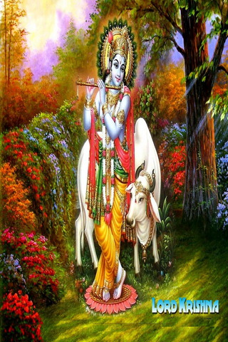 Krishna Un Du Dieu Hindou