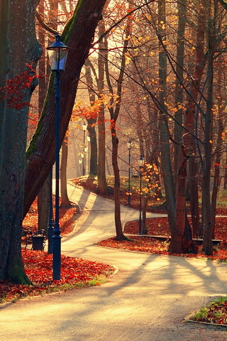 Parque de otoño