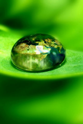 Dew Drop Wallpaper - Download to your mobile from PHONEKY