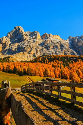 Countryside
