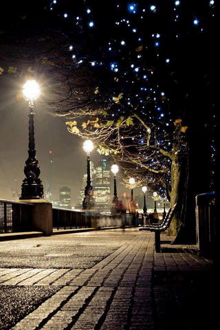 Twinkling Pathways: A N..