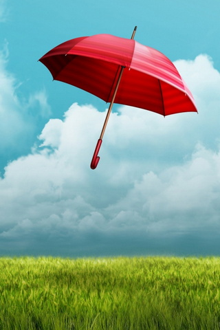 Campos de guarda-chuva