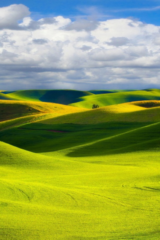 Grüne Hügel
