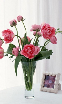 Roses In vase Wallpaper - Download to your mobile from PHONEKY